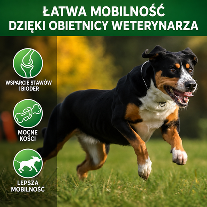 Suplement na stawy dla psa – glukozamina i chondroityna, 120 szt.